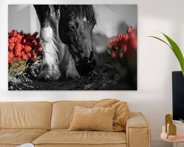 Paard tussen de rode tulpen van Daliyah BenHaim