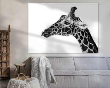 Giraffe aus nächster Nähe von Daliyah BenHaim