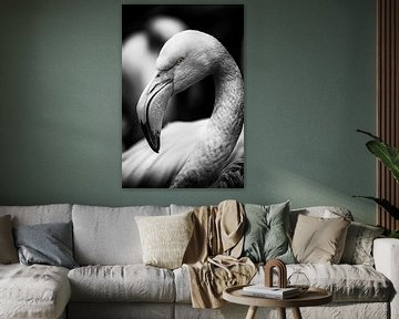 Flamingo op zwart achtergrond van Ron Meijer Photo-Art