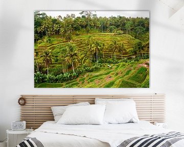 Prachtige rijstvelden in Ubud (Bali) op een regenachtige middag