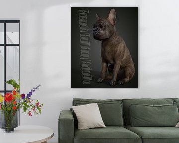 Französische Bulldogge Brindle mit Text _HMS von HMS