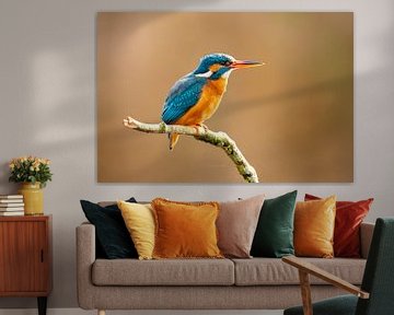 Kingfisher, Alcedo Atthis by Gert Hilbink