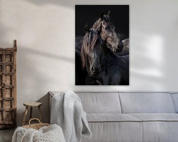 Friese Paarden, Frisian Horses van Gert Hilbink
