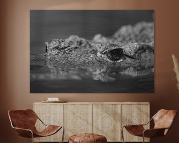 In the eye of the Crocodile (Black and White) by FotoGraaG Hanneke