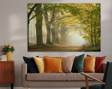 Morgennebel entlang eines Waldweges mit Buchen. von Frans Lemmens