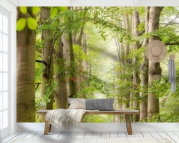 Beech avenue along forest path, spring by Frans Lemmens