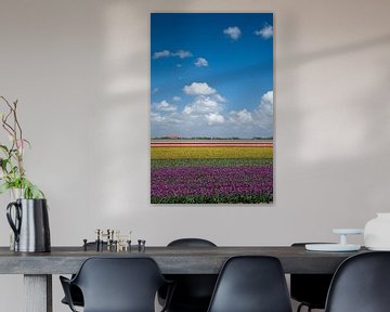 Tulpen landschap van Menno Schaefer