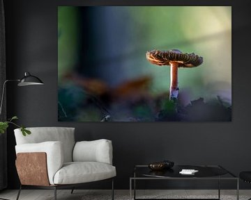 Mushroom park light by Willian Goedhart