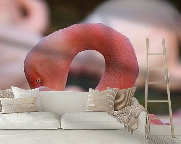 Nahaufnahme des Flamingo von Karin Bazuin