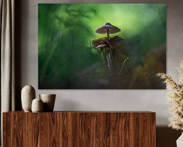 Mushrooms tropical island by Willian Goedhart