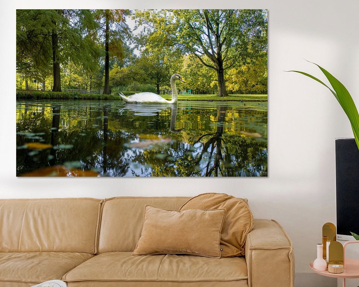 Raumvorschau