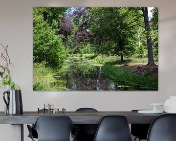 riviertje in de natuur met diverse bomen zoals een berk