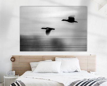 Zwart/Wit foto van vogels op snelheid van bart dirksen