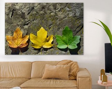 Herfstbladeren in verschillende kleuren van Ulrike Leone