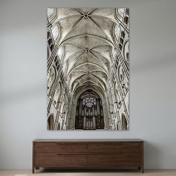 Detail van de kathedraal van Laon van Ellen van Schravendijk