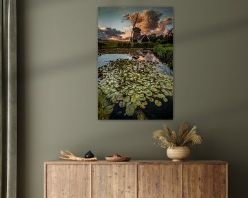 Water lilies for the mill