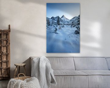 Kanada sneeuw landschap rust van Remco van Adrichem