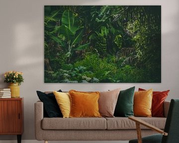 Dschungel in Europa, Azoren von Isai Meekers