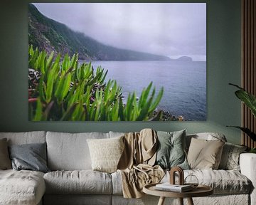 mistig landschap Azoren van Isai Meekers