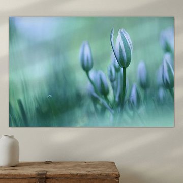 Bird milk in blue-green