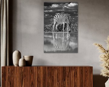 Ein Zebra, das an einer Wasserstelle trinkt und sich im Wasser spiegelt. von Gunter Nuyts