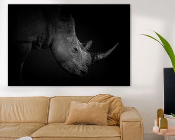 Tête d'un rhinocéros blanc en noir et blanc. sur Gunter Nuyts