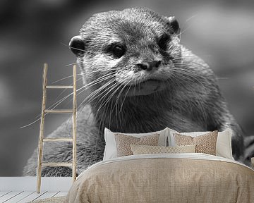 Portrait otter in black and white by By Marjolein Design