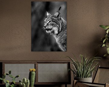 low-key portret van Lynx van Niels Derksen