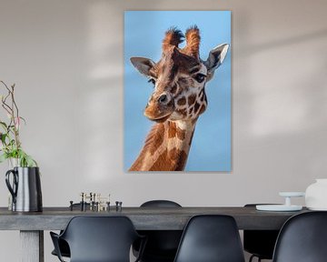 Portrait giraffe in black and white by Marjolein van Middelkoop