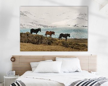 IJslandse paarden (IS)