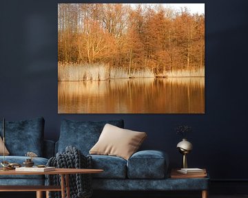 Meer in een natuurgebied