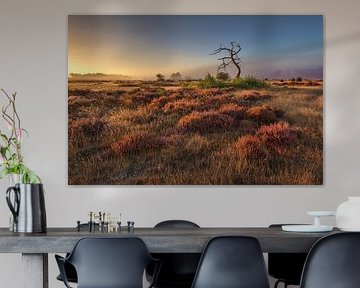 Flowering heather at sunrise by Frans Lemmens