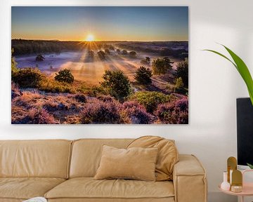 Blühendes Heidekraut bei Sonnenaufgang von Frans Lemmens