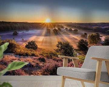 Flowering heather at sunrise by Frans Lemmens