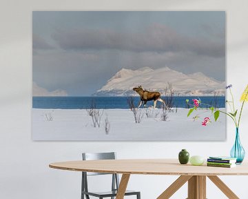 L'orignal en hiver Paysage norvégien enneigé sur Erwin Maassen van den Brink