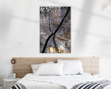 Ein Herz aus Holz von Rik Verslype