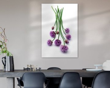 Chives or Allium shoeoprasum on a white background by Ruurd Dankloff