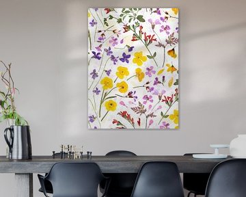 Midsummer pressed flowers meadow by Floral Abstractions