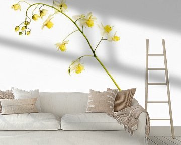 Elfenblume auf Vase