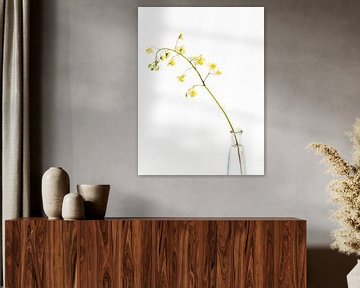 Elfenblume auf Vase von Hanneke Luit