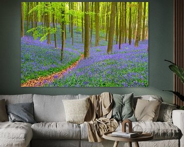 Hallerbos