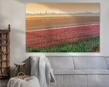 Bloeiende tulpenvelden in ochtendnevel van Frans Lemmens