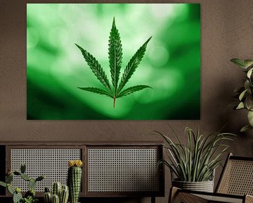 Cannabis by Tilo Grellmann