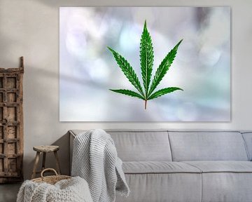 Cannabis van Tilo Grellmann | Photography