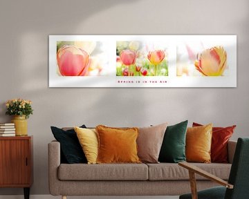 Triptychon mit Tulpen von Eddy Westdijk