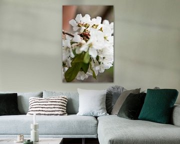 Blüte