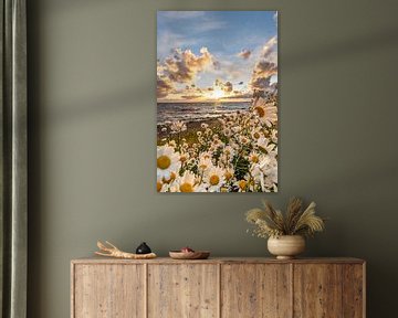 bloemenzee aan het IJsselmeer van Peter Abbes