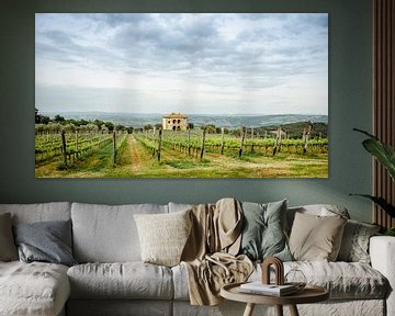 Tuscan vineyards by Angelica van den Berg