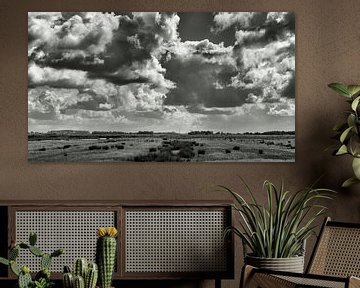 Het Noord Hollands landschap in zwart wit op een heerlijke dag aan het begin van de zomer van Hans de Waay