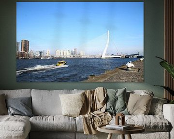 Rotterdam sur Femke Krone